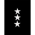 Marine Corps Embroidered Rank: Lieutenant General