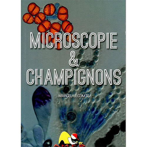 Microscopie & champignons