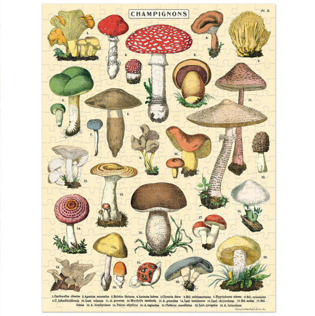 Mini Beige Vintage Mushroom Puzzle