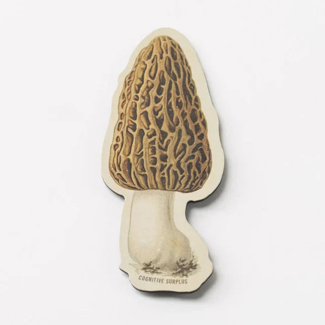 Morel Mushroom Magnet