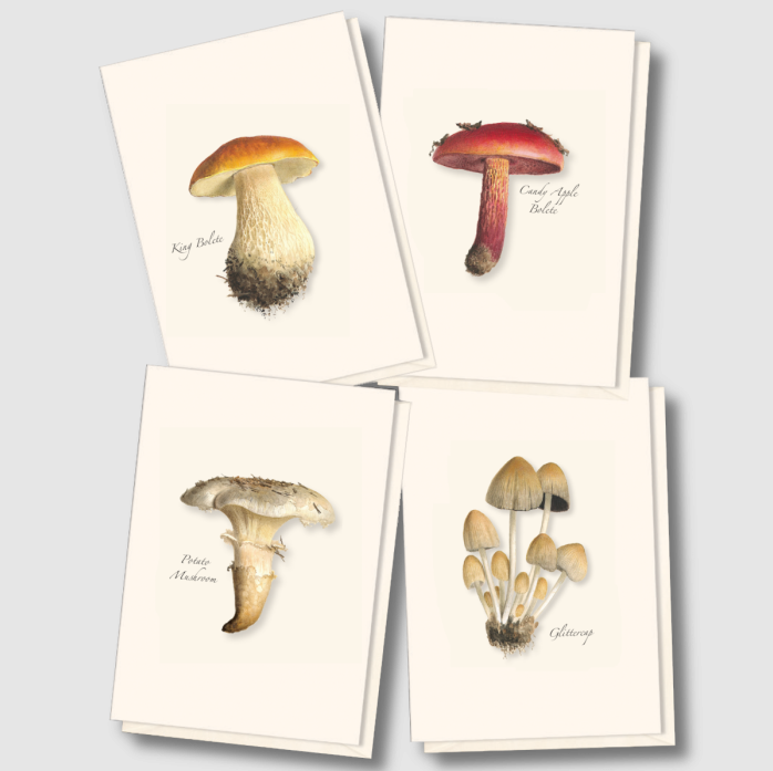 Mushroom Assortment Notecards