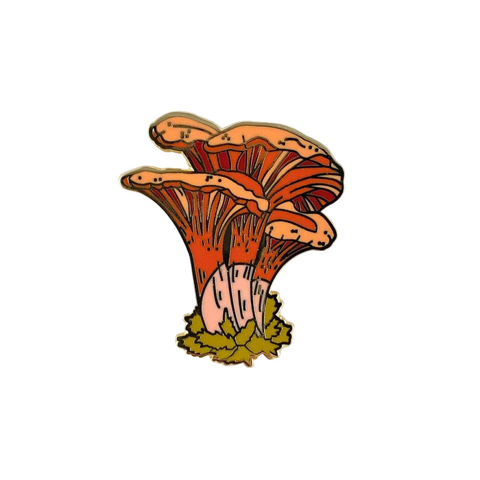 Cinnabar Chanterelle Mushroom