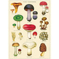 Mushroom-Themed Wrapping Paper : Fungi-Champignons