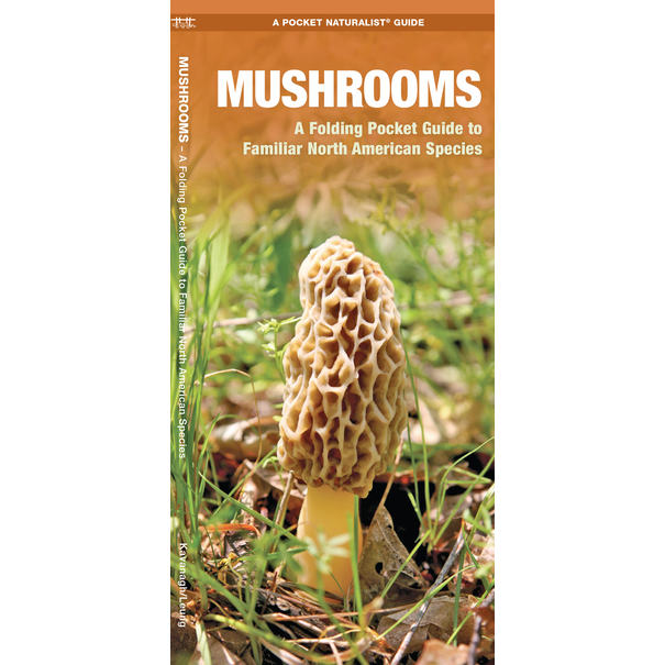 Mushrooms: A Folding Pocket Guide to Familiar North American Species