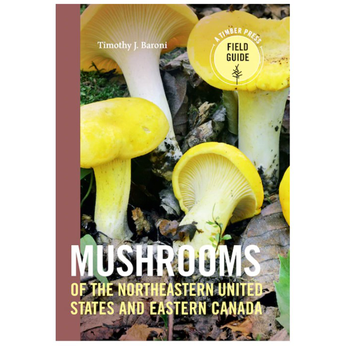 Mushrooms of the Northeastern United States and Eastern Canada