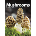Mushrooms Playing Cards
