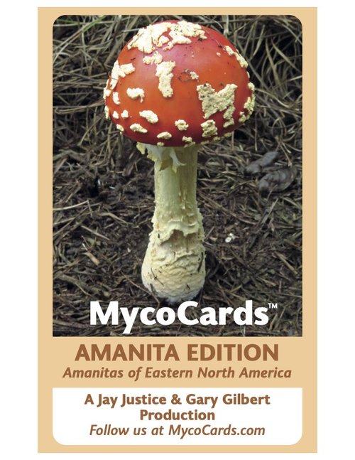 MycoCards