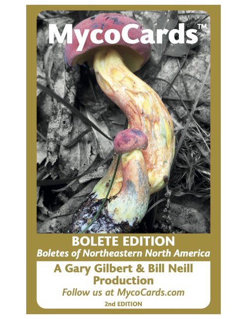 MycoCards