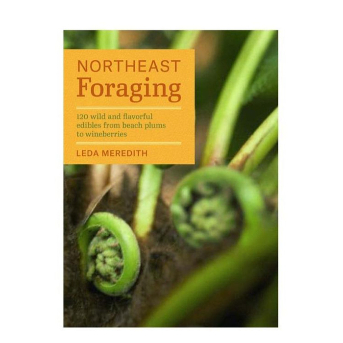 Northeast Foraging: 120 wild and flavorful edibles from beach plums to wineberries