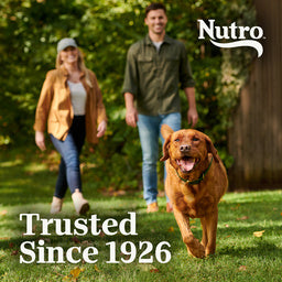 Nutro Natural Choice Adult Dry Dog Food, Beef & Brown Rice Recipe