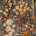 October 4, 2026 - LAURENTIANS - Mushroom-Hunting Excursion
