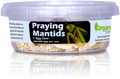 Organic Control Praying Mantids