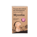 Pink Oyster Mushroom Grow Kit