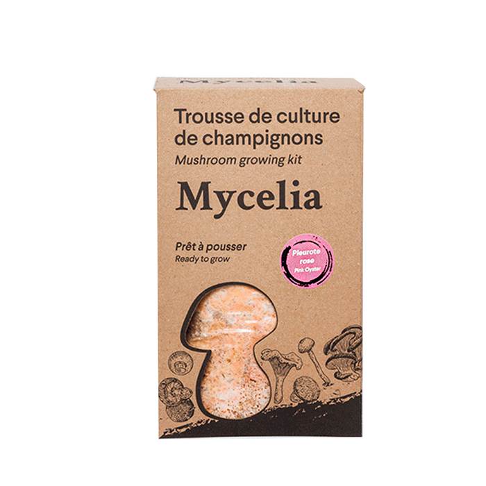 Pink Oyster Mushroom Grow Kit