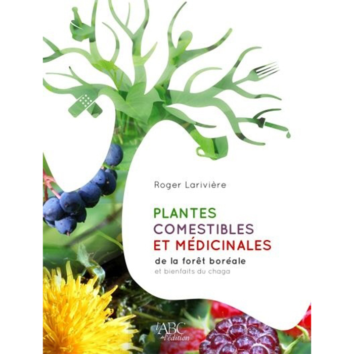 Plantes comestibles et médicinales de la forêt boréal et bienfaits du Chaga