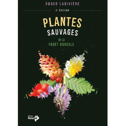 Plantes sauvages de la forêt boréale
