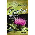 Plantes sauvages du Québec