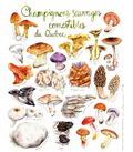 Poster - Edible Wild Mushrooms