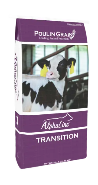 Poulin Grain AlphaLine Transition Heifer Pellet