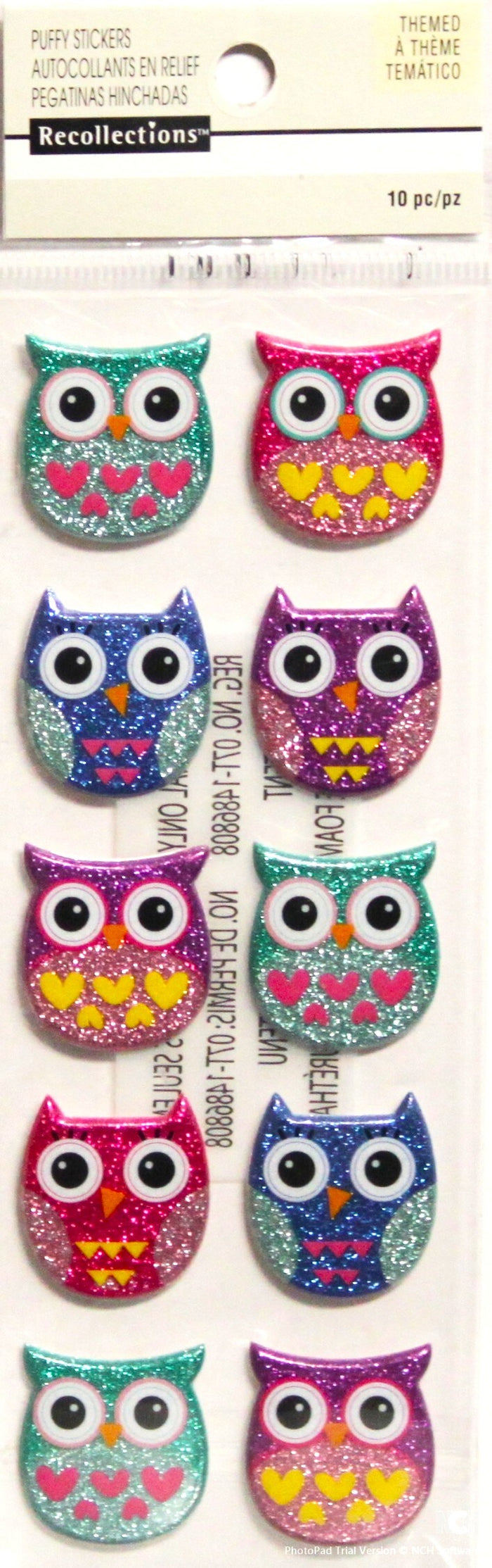 Recollections Colorful Glittered Owls Puffy Stickers - SCRAPBOOKFARE