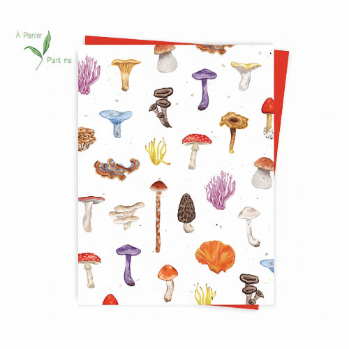 Seed card Mushrooms