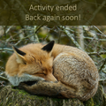 September 13, 2026 - LAURENTIANS - Mushroom-Hunting Excursion