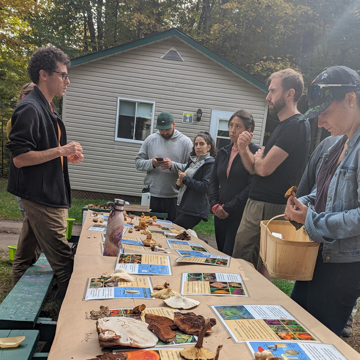 September 13, 2026 - LAURENTIANS - Mushroom-Hunting Excursion