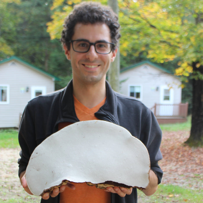 September 13, 2026 - LAURENTIANS - Mushroom-Hunting Excursion