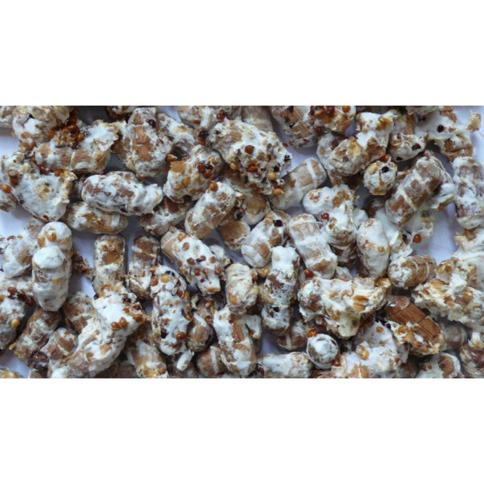 Shiitake Plug Spawn