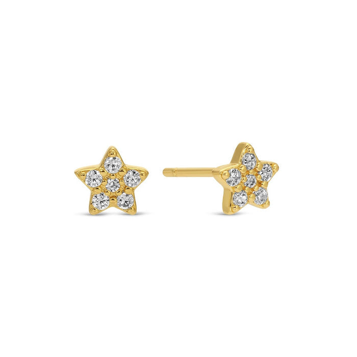 Splendid Iris ~ Star Velvet Stud Gift Set