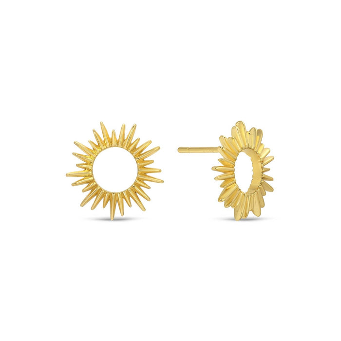 Splendid Iris ~ Star Velvet Stud Gift Set