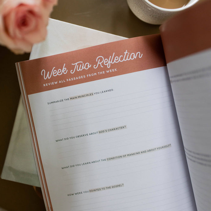 The Daily Grace Co. ~ Growing in Grace Bible Study