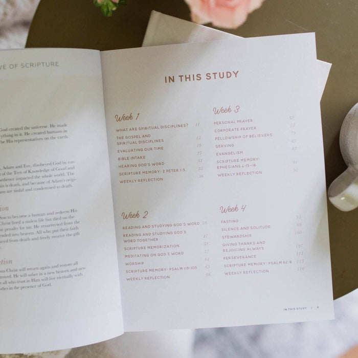 The Daily Grace Co. ~ Growing in Grace Bible Study