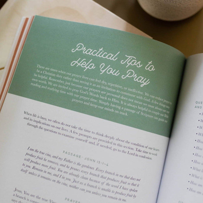 The Daily Grace Co. ~ Growing in Grace Bible Study