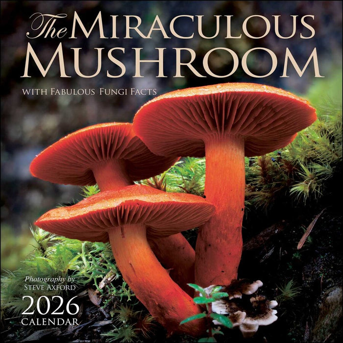 The Miraculous Mushroom 2026 Wall Calendar: With Fabulous Fungi Facts6