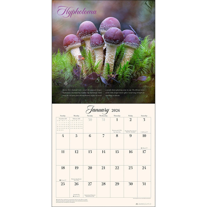 The Miraculous Mushroom 2026 Wall Calendar: With Fabulous Fungi Facts6