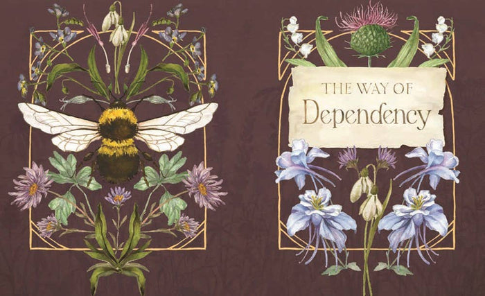 The Way of the Wildflower : Gospel Meditations to Unburden Your Anxious Soul