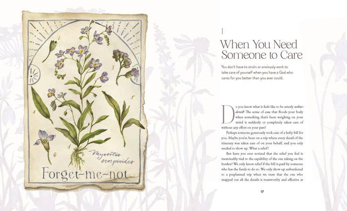 The Way of the Wildflower : Gospel Meditations to Unburden Your Anxious Soul