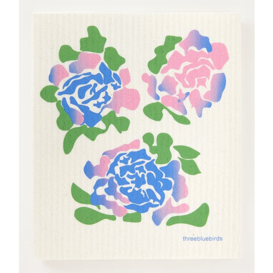 Hydrangea on White