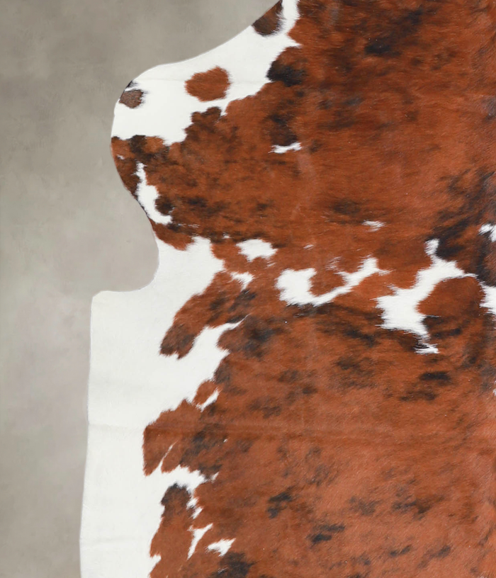 Tricolor Cowhide Rug #A26867