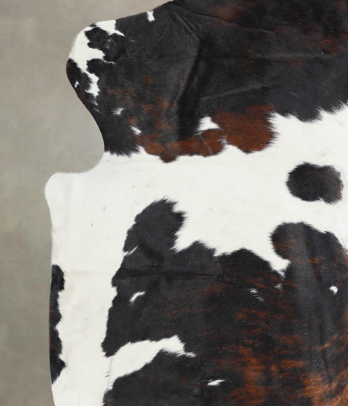 Tricolor Cowhide Rug #A26865