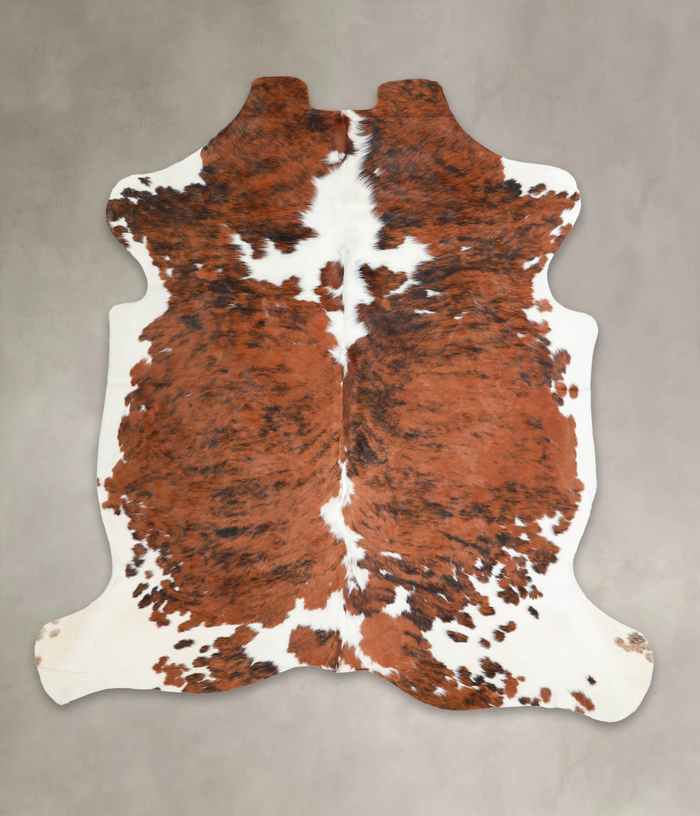 Tricolor Cowhide Rug #A26858