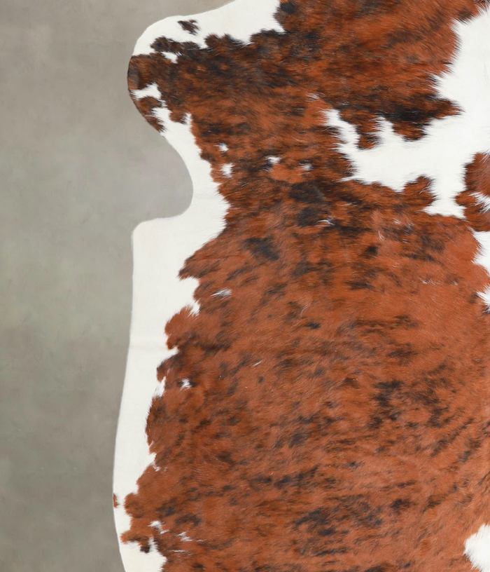 Tricolor Cowhide Rug #A26858