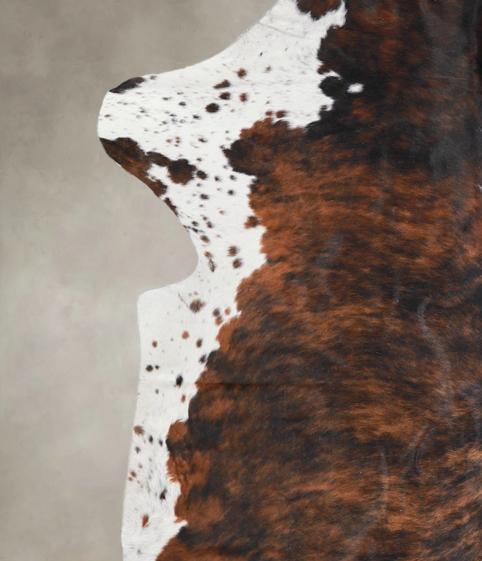 Tricolor Cowhide Rug #A26862