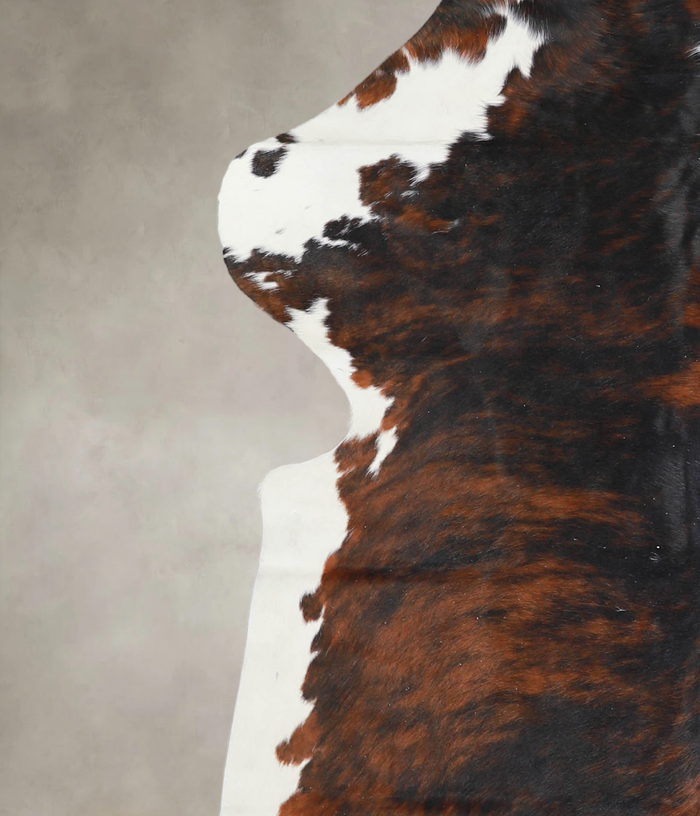 Tricolor Cowhide Rug #A26663