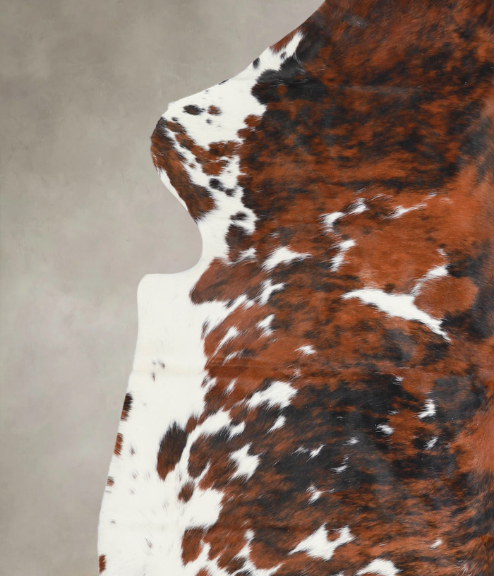 Tricolor Cowhide Rug #A26655