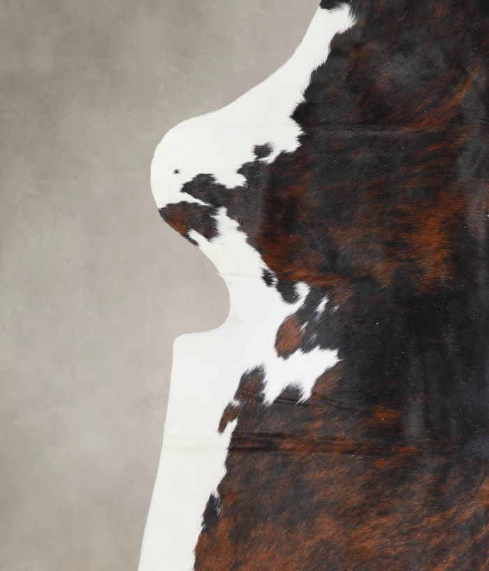 Tricolor Cowhide Rug #A26659