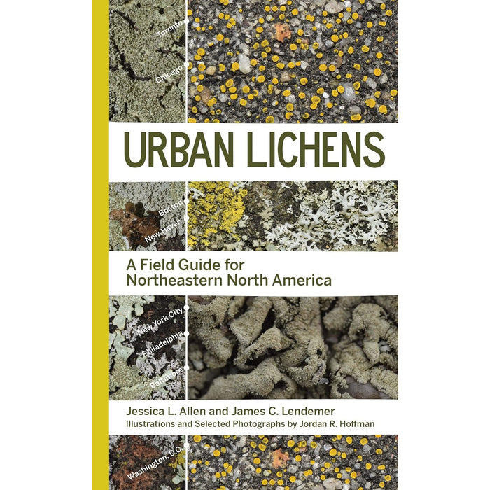 Urban Lichens: A Field Guide for Northeastern North America