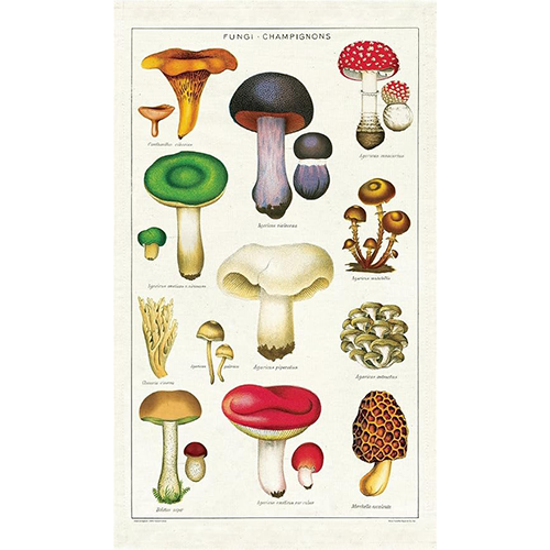 Vintage Tea Towel - Mushrooms