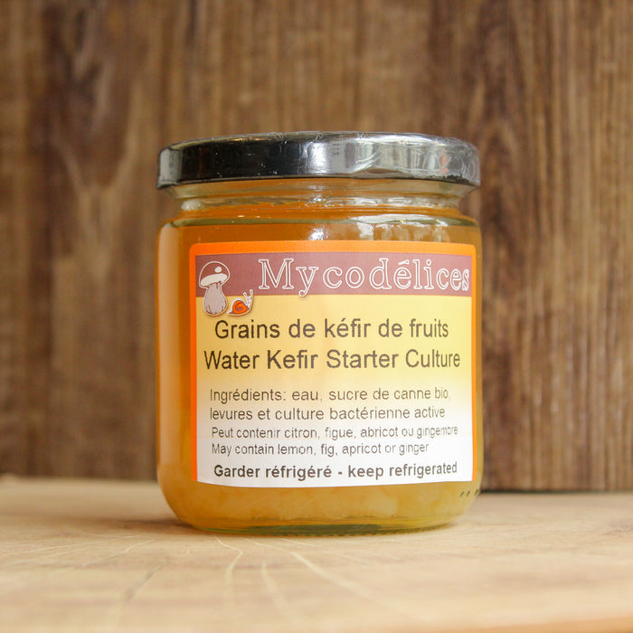 Water kefir starter culture